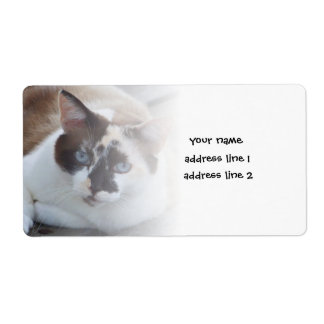add a pet photo labels 2020