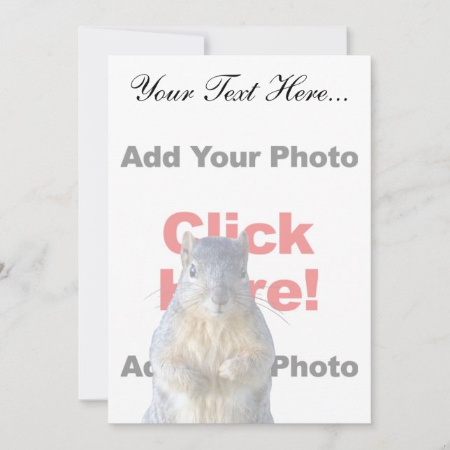 Add A Squirrel Custom (Front)