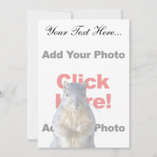 Add A Squirrel Custom