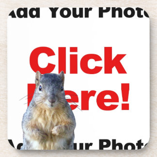 Add A Squirrel Custom Coaster