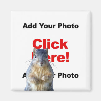 Add A Squirrel Custom Magnet