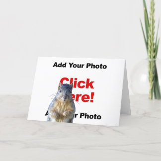 Add A Squirrel Custom Photo Greeting Card
