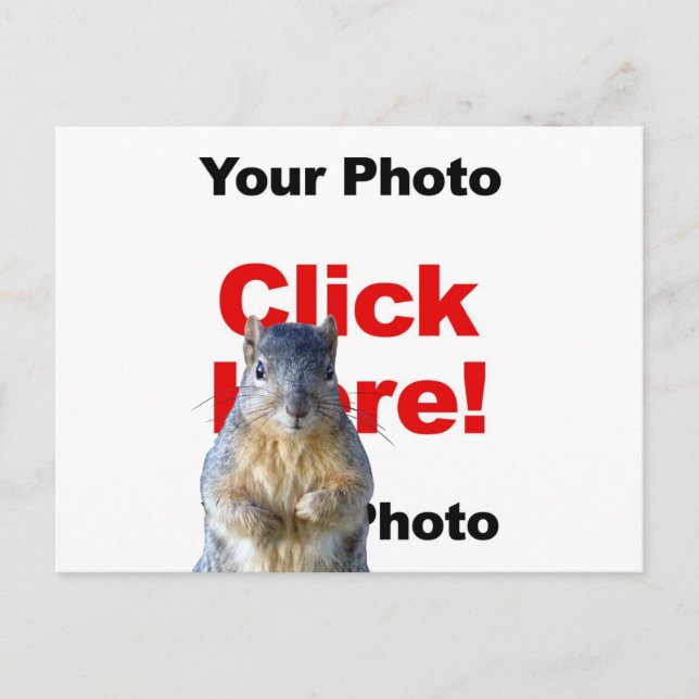 Add A Squirrel Custom Photo Postcard (Front)