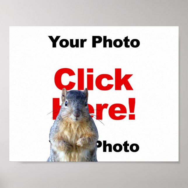 Add A Squirrel Custom Photo Poster (Front)