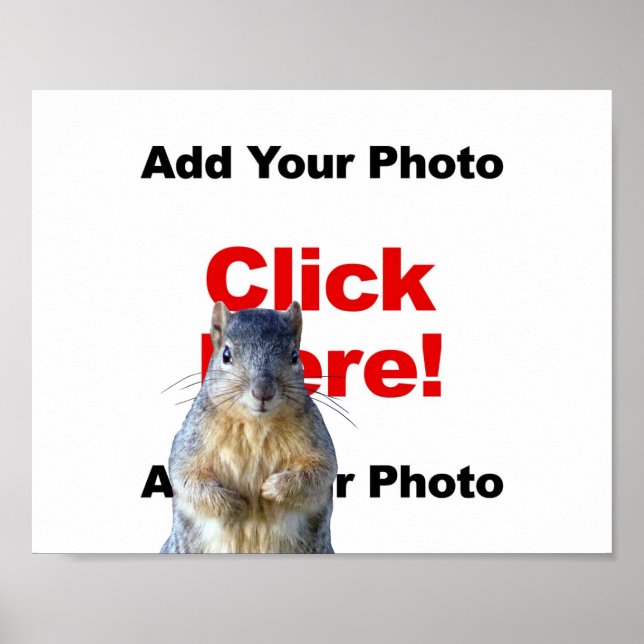 Add A Squirrel Custom Photo Poster (Front)