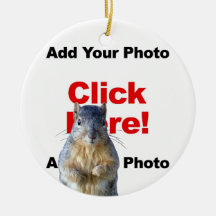 Add A Squirrel Custom Photobomb Add Photo
