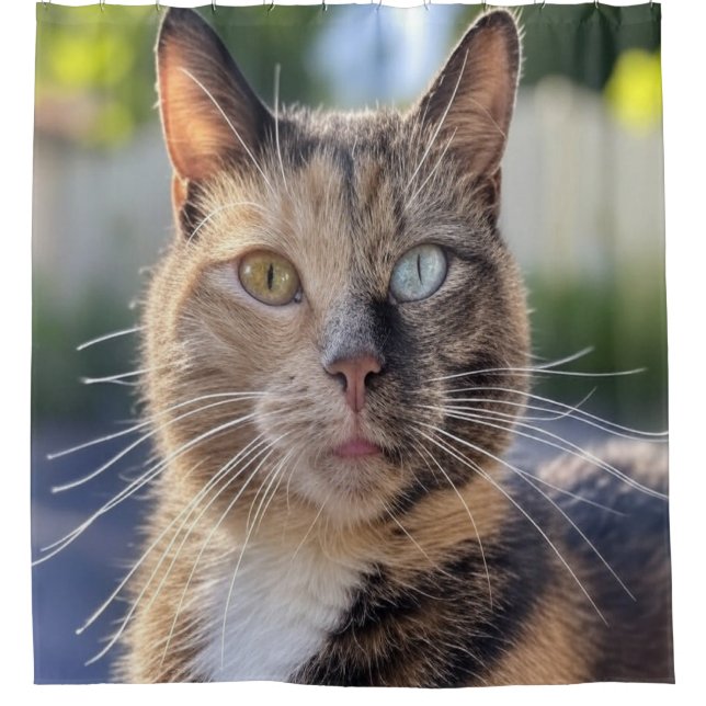 Add Cat Photo Customize (Front)