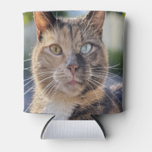 Add Cat Photo Customize Can Cooler