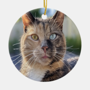 Add Cat Photo Customize Ceramic Ornament