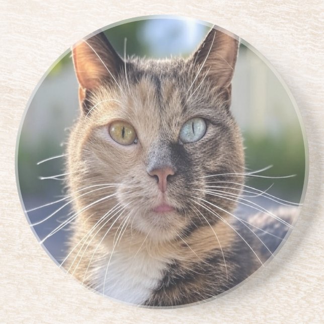 Add Cat Photo Customize Coaster (Front)