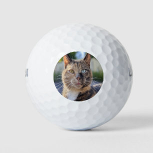 Add Cat Photo Customize Golf Balls