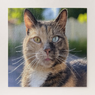 Add Cat Photo Customize Jigsaw Puzzle