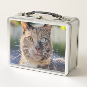 Add Cat Photo Customize Metal Lunch Box