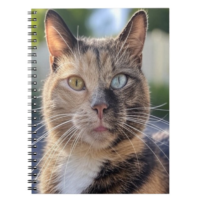 Add Cat Photo Customize Notebook (Front)