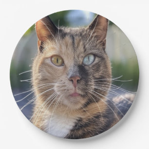 Add Cat Photo Customize Paper Plate