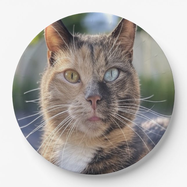 Add Cat Photo Customize Paper Plate (Front)