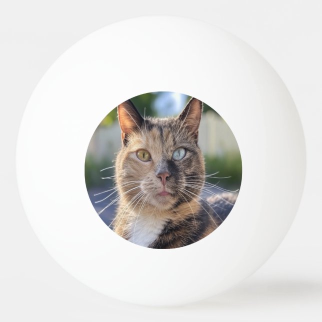 Add Cat Photo Customize Ping Pong Ball (Front)