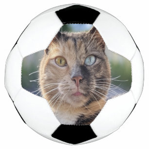 Add Cat Photo Customize Soccer Ball
