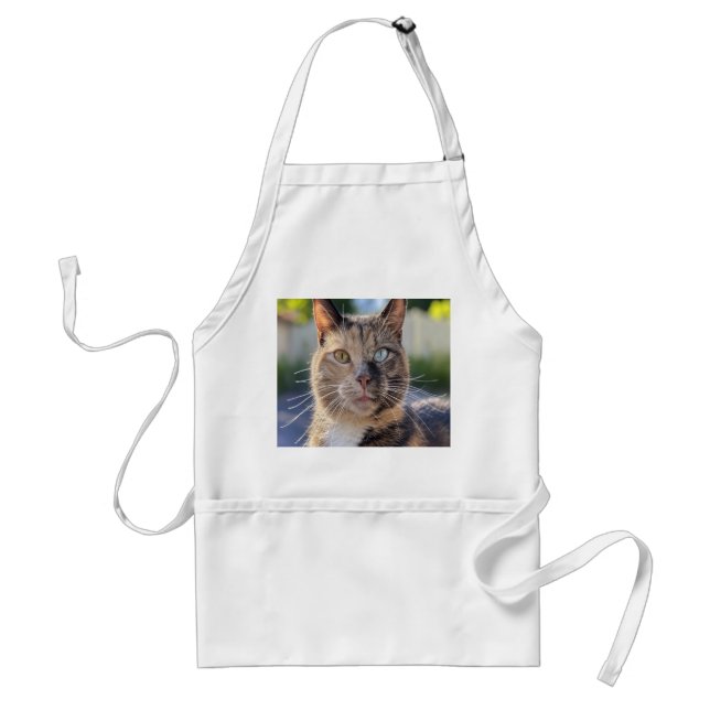 Add Cat Photo Customize Standard Apron (Front)