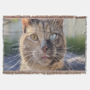 Add Cat Photo Customize Throw Blanket