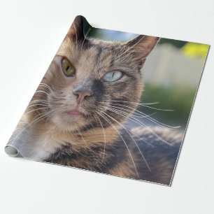 Add Cat Photo Customize Wrapping Paper