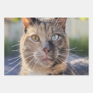 Add Cat Photo Customize Wrapping Paper Sheet