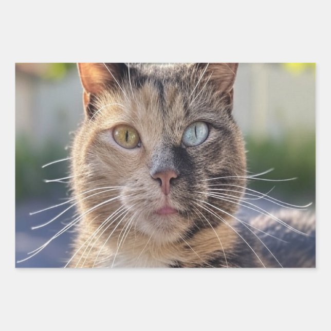 Add Cat Photo Customize Wrapping Paper Sheet (Front)