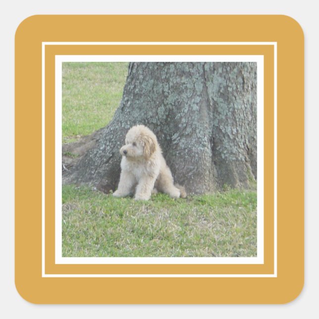 Add Custom Photo Template Golden Yellow & White Square Sticker (Front)