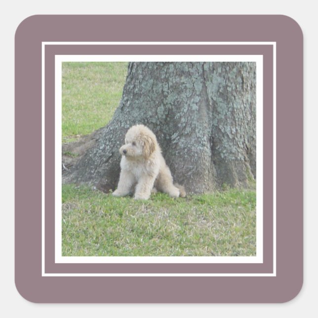 Add Custom Photo Template Grape Purple & White Square Sticker (Front)