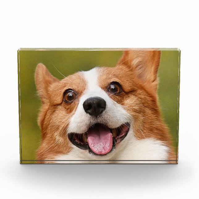 Add Dog Photo Personalized Customized (Front)