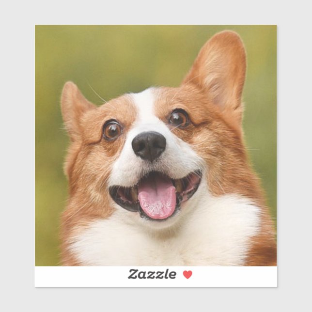 Add Dog Photo Personalized Customized (Sheet)