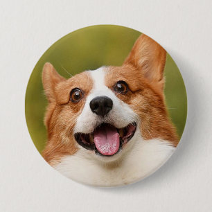 Add Dog Photo Personalized Customized 3 Inch Round Button