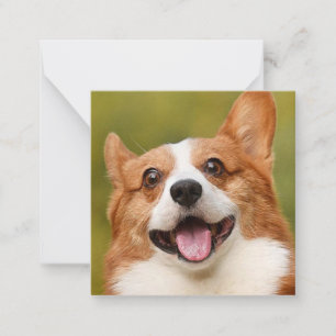 Add Dog Photo Personalized Customized Card