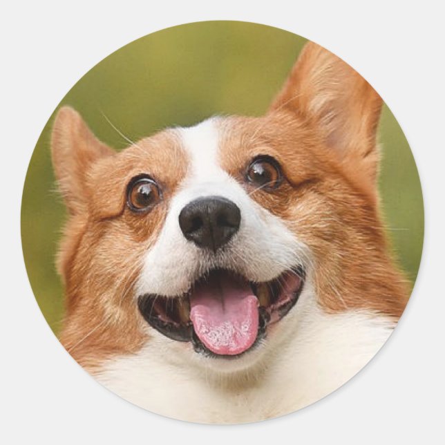 Add Dog Photo Personalized Customized Classic Round Sticker (Front)