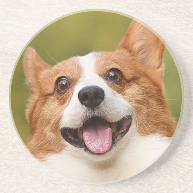 Add Dog Photo Personalized Customized Coaster (Front)