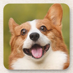 Add Dog Photo Personalized Customized Coaster
