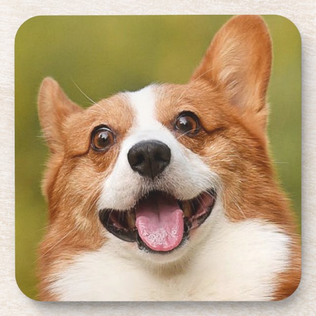Add Dog Photo Personalized Customized Coaster (Front)
