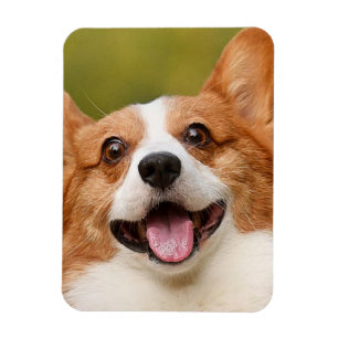 Add Dog Photo Personalized Customized Magnet