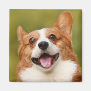 Add Dog Photo Personalized Customized Magnet