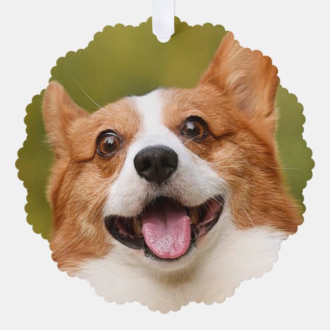 Add Dog Photo Personalized Customized Ornament Card (Front)