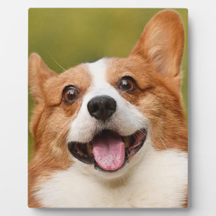 Add Dog Photo Personalized Customized Plaque