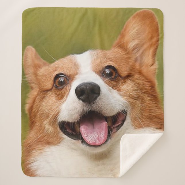 Add Dog Photo Personalized Customized Sherpa Blanket (Front)