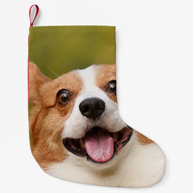 Add Dog Photo Personalized Customized Small Christmas Stocking (Front)