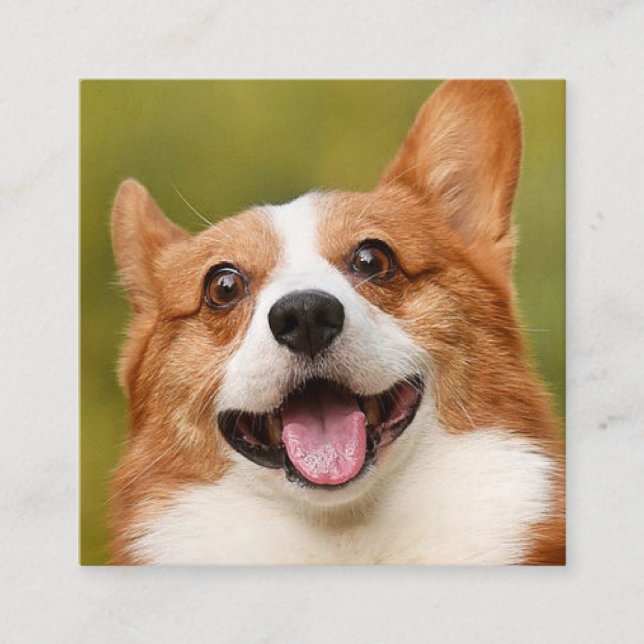 Add Dog Photo Personalized Customized Square Business Card (Front)
