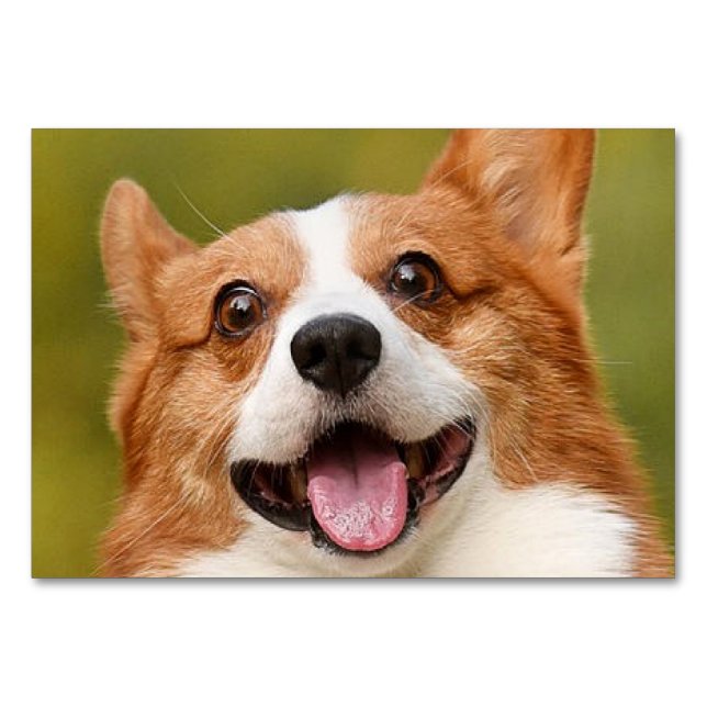Add Dog Photo Personalized Customized Table Number (Front)