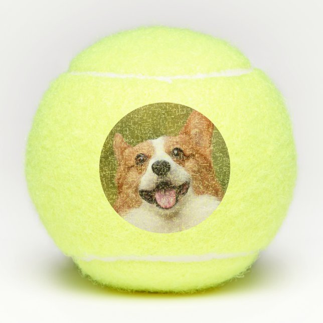 Add Dog Photo Personalized Customized Tennis Balls (Front)