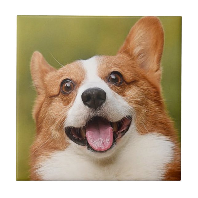 Add Dog Photo Personalized Customized Tile (Front)