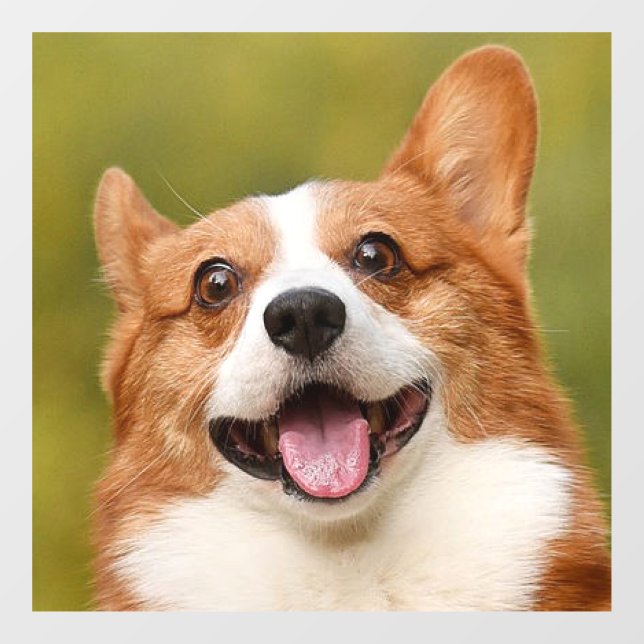 Add Dog Photo Personalized Customized Window Cling (Sheet)