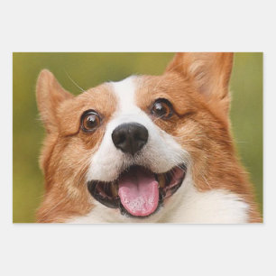 Add Dog Photo Personalized Customized Wrapping Paper Sheet