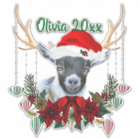 ADD NAME - Adorable Christmas Pygmy Goat Kid
